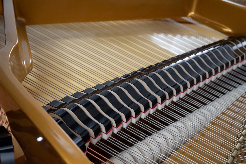 Weinbach_160_0801_0021 Weinbach_160_0801_0021